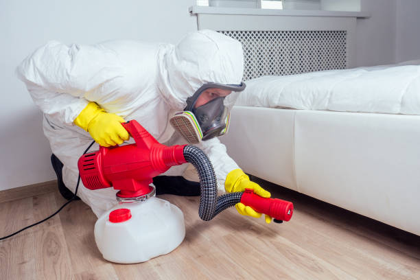 Trusted Sierra View, PA Pest Control Experts