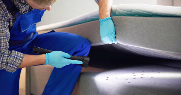 Best Rat Extermination Near Me  in Sierra View, PA